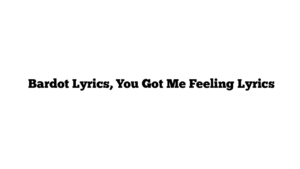  Bardot Lyrics, You Got Me Feeling Lyrics